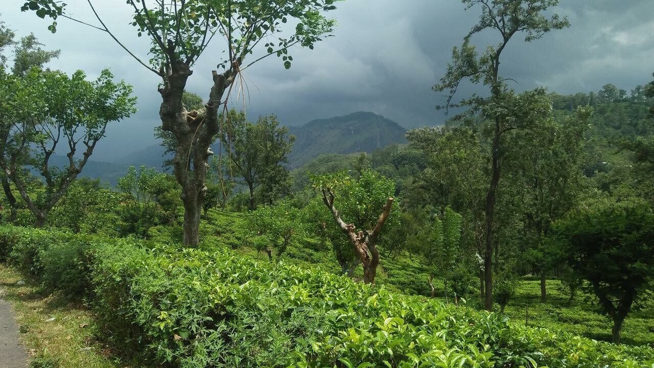 Photo of Outdoor in Ella