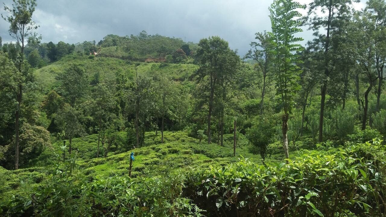 Photo of Outdoor in Ella