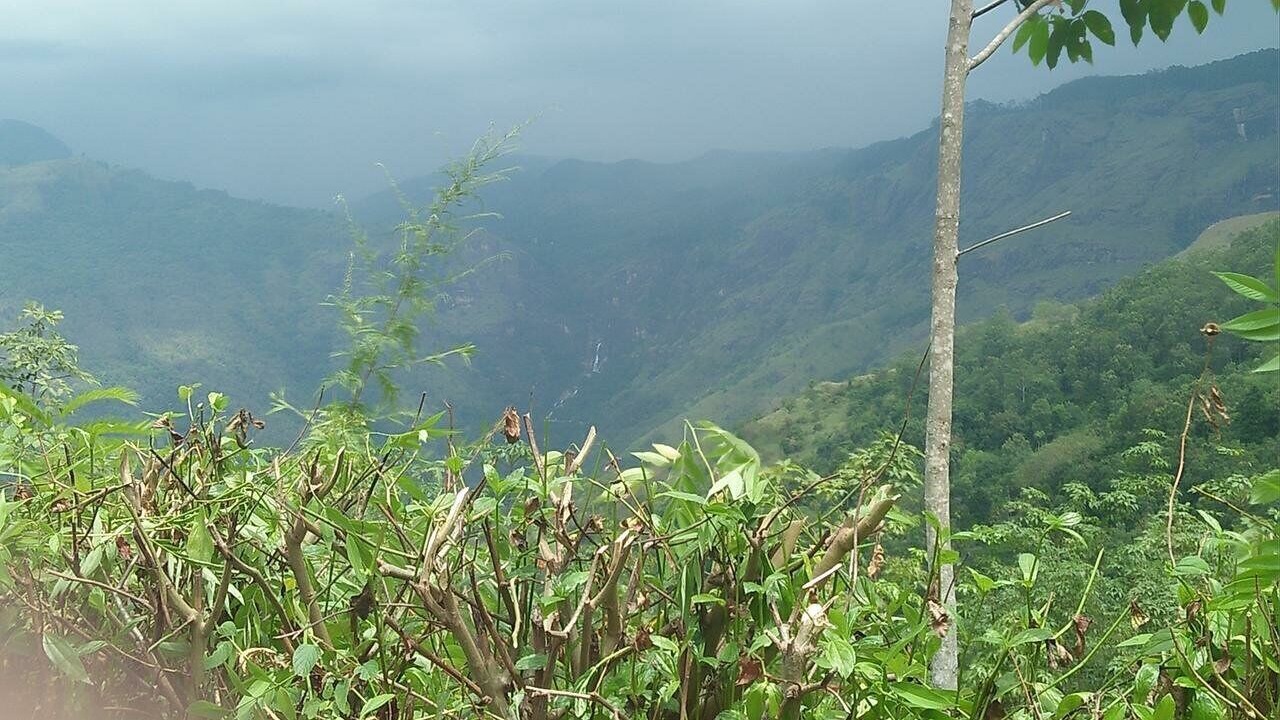 Photo of Outdoor in Ella