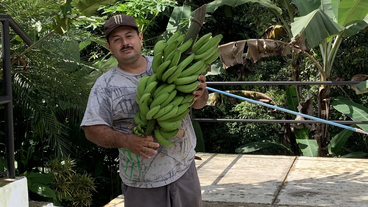 Photo of Outdoor in Manuel Antonio