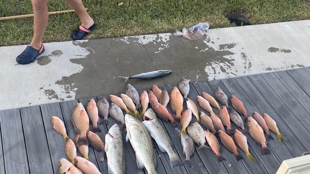 Photo of Others in Siesta Key
