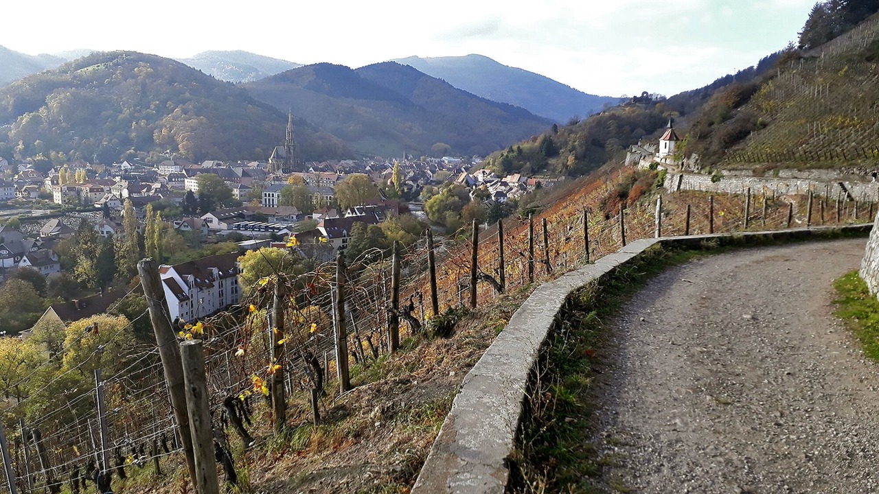 Photo of Outdoor in Geishouse