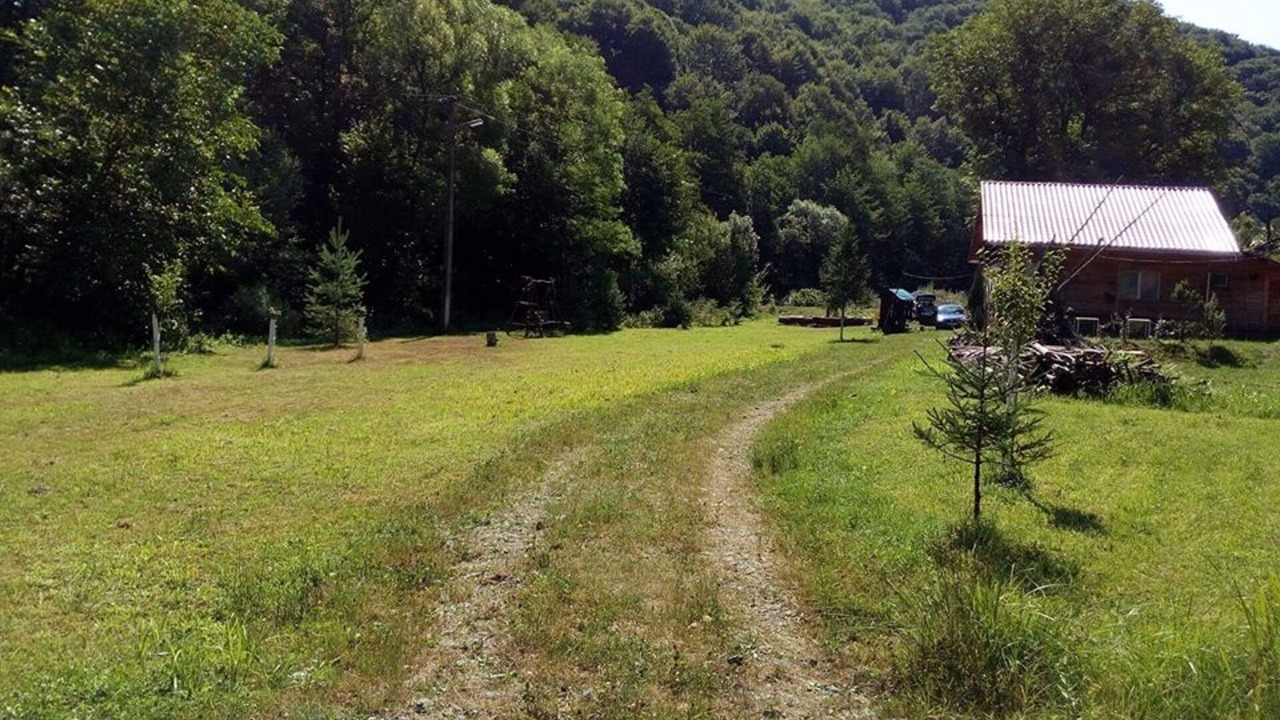 Photo of Outdoor in Vata de Jos