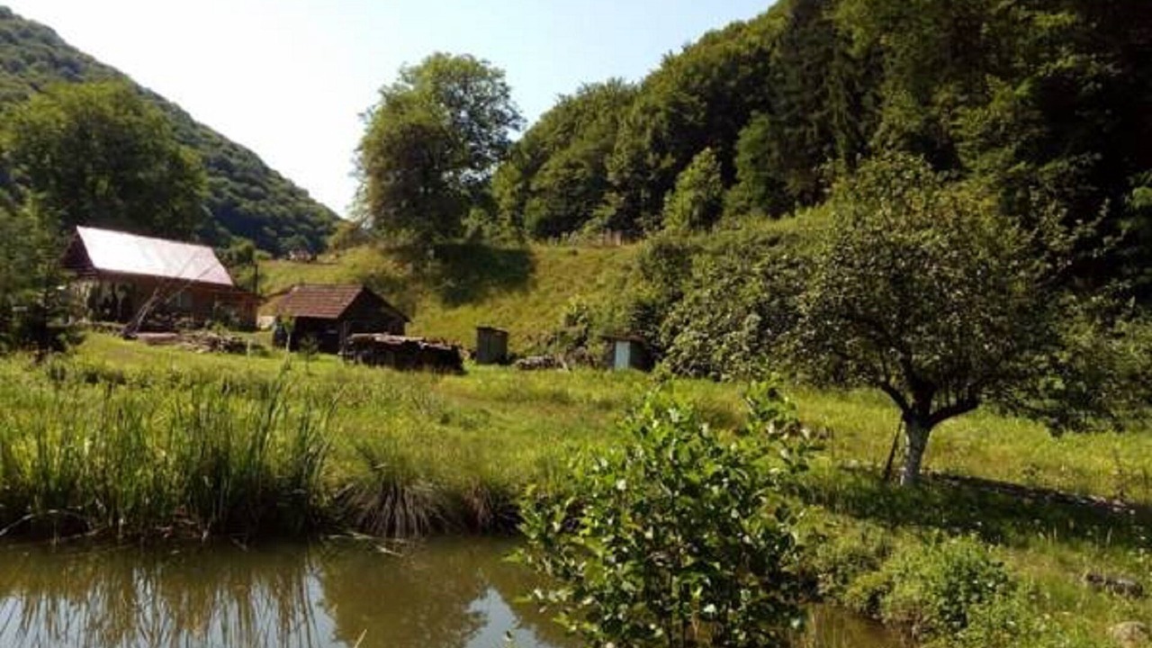 Photo of Outdoor in Vata de Jos