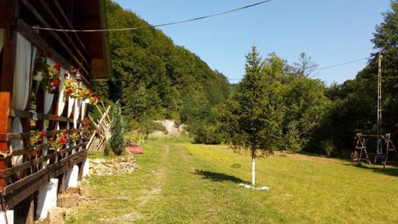Photo of Outdoor in Vata de Jos