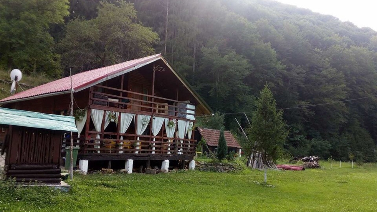 Photo of Outdoor in Vata de Jos