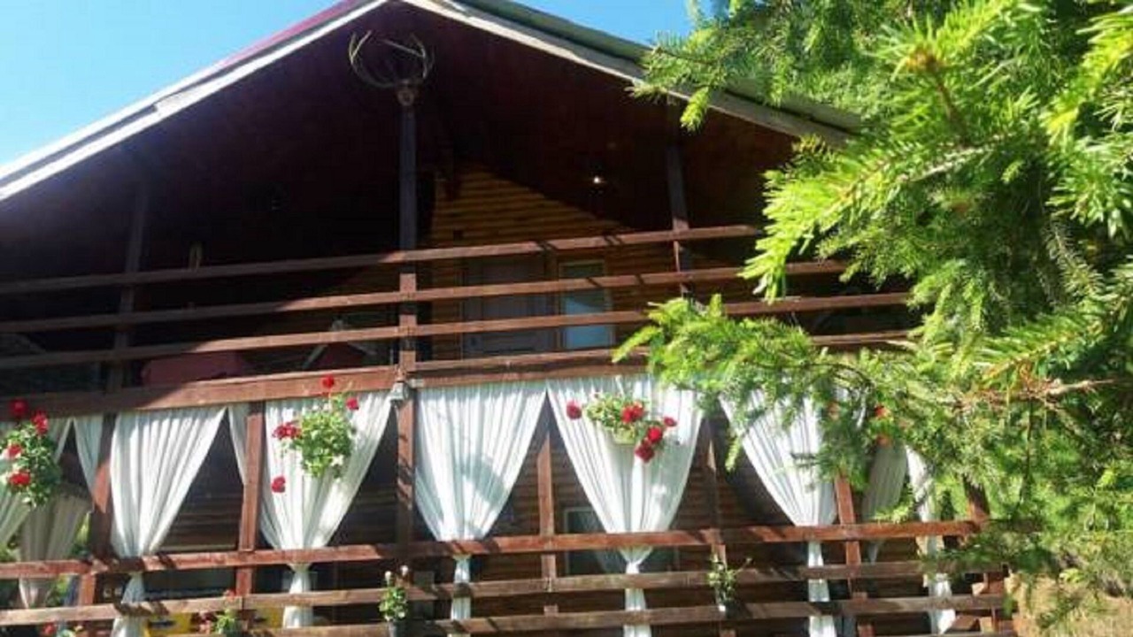 Photo of Outdoor in Vata de Jos
