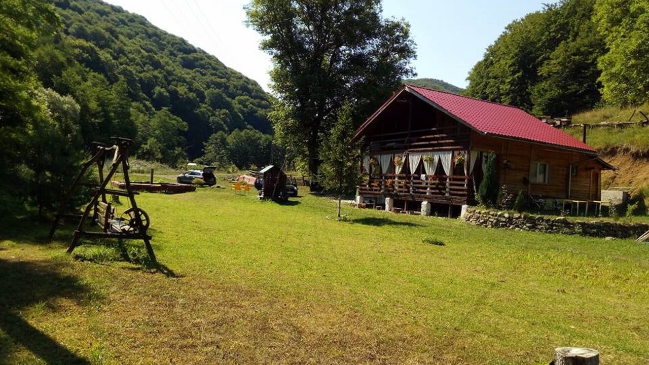 Photo of Outdoor in Vata de Jos