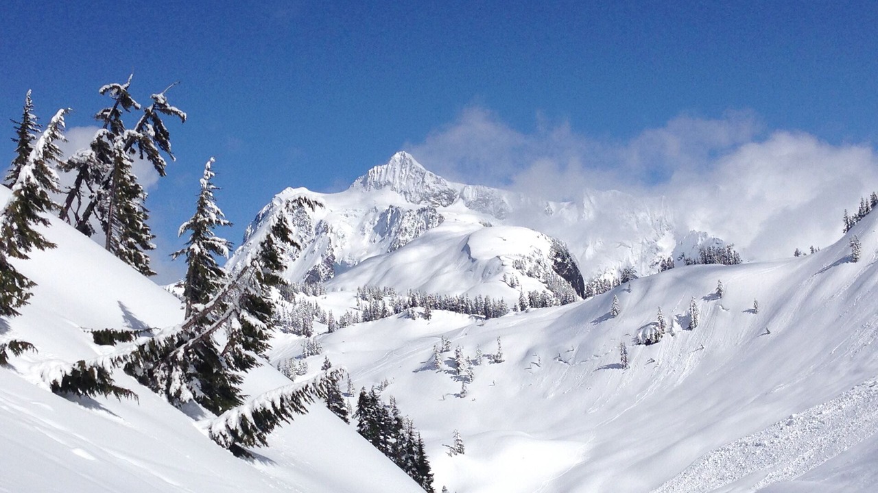 Photo of Others in Cascade West