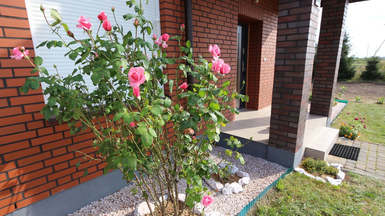 Photo of Outdoor in Zbaszynek