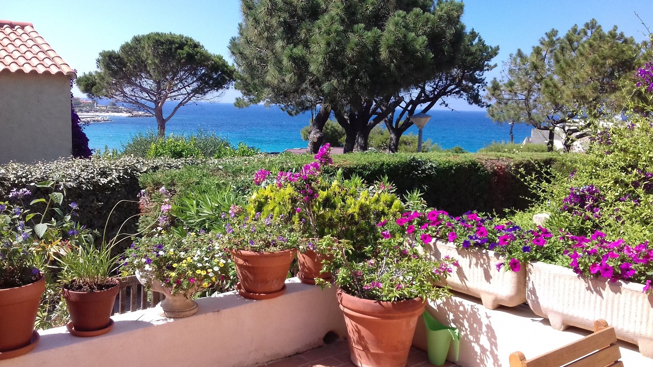 Photo of Outdoor in Marine de Saint Ambroggio