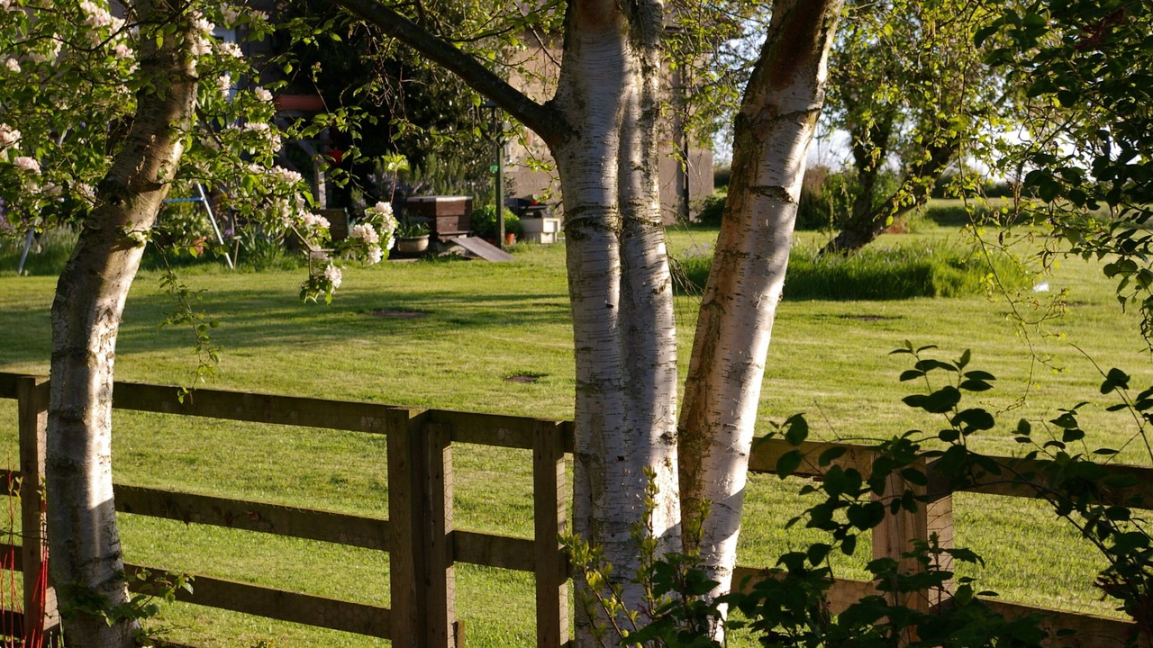 Photo of Outdoor in Ford