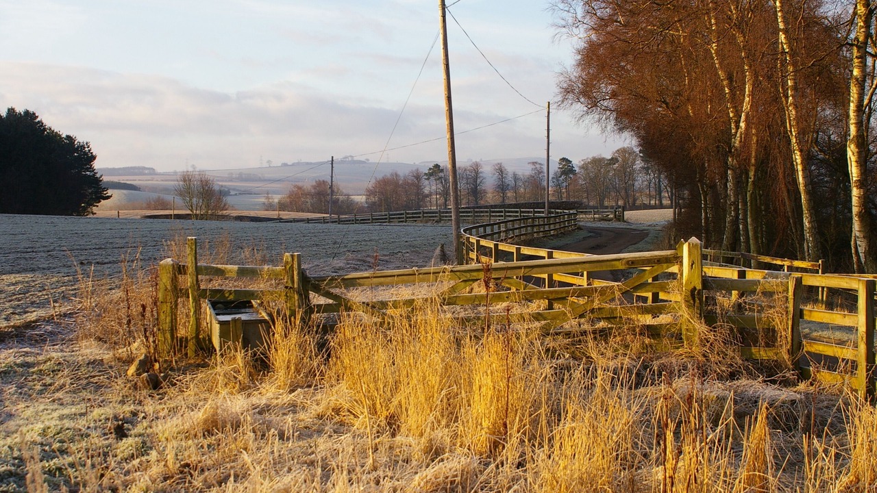 Photo of Outdoor in Ford