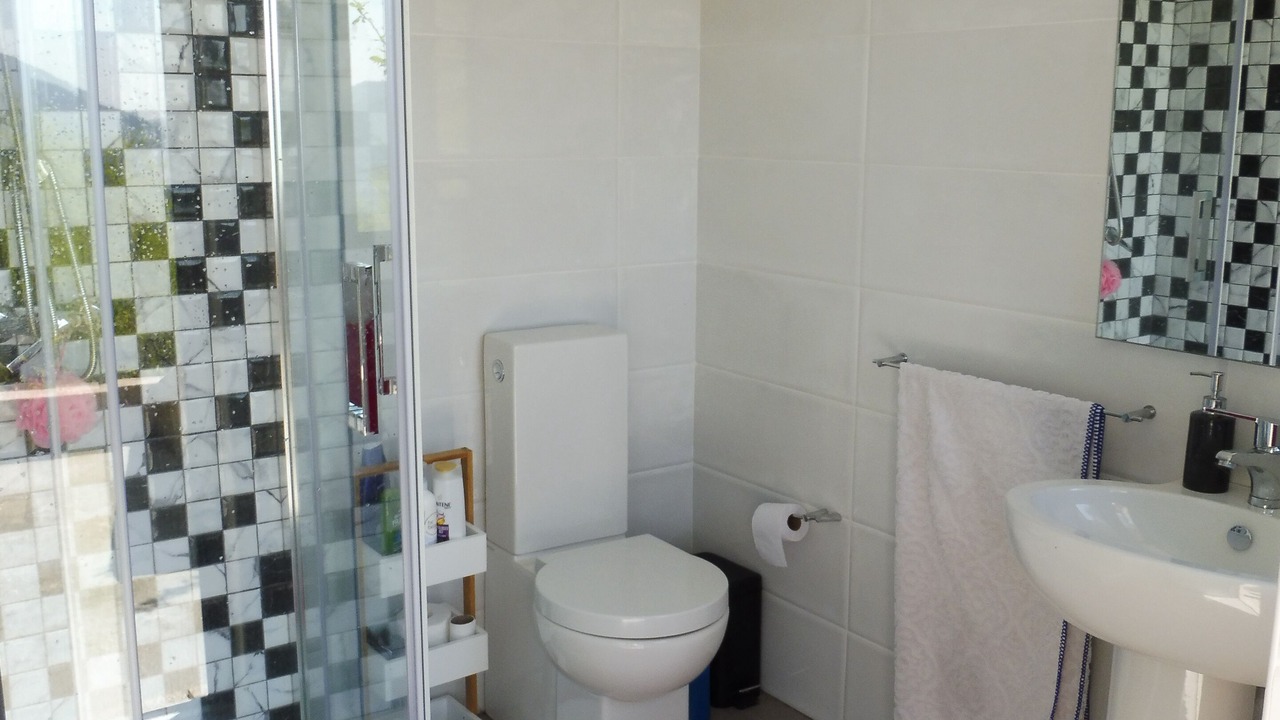 Photo of Bathroom in Portela