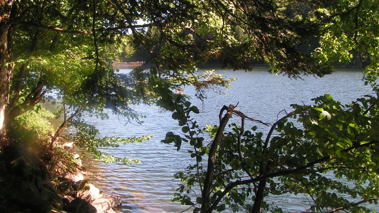 Photo of Outdoor in Gerardmer