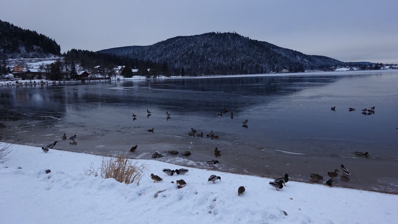 Photo of Others in Gerardmer