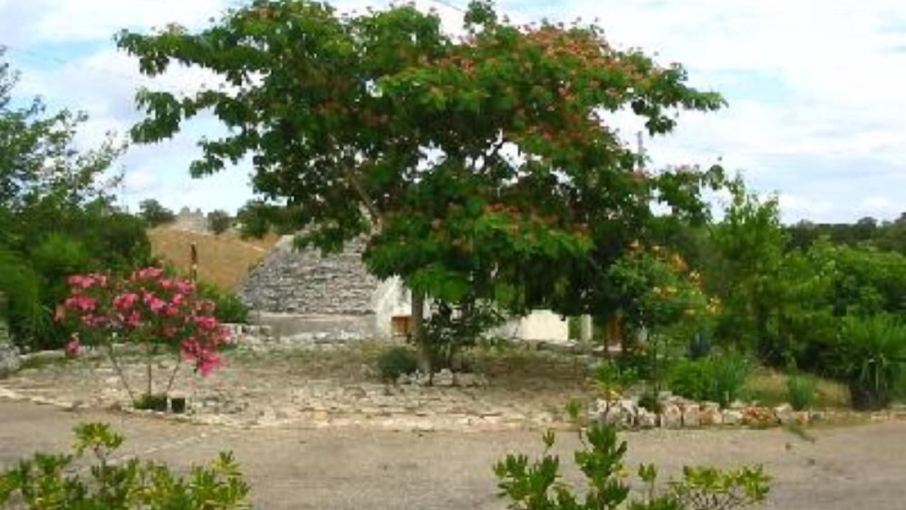 Photo of Outdoor in Locorotondo