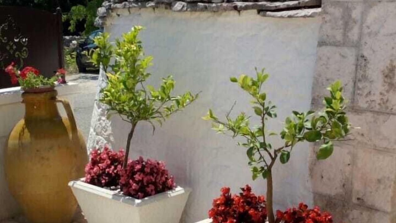 Photo of Outdoor in Locorotondo