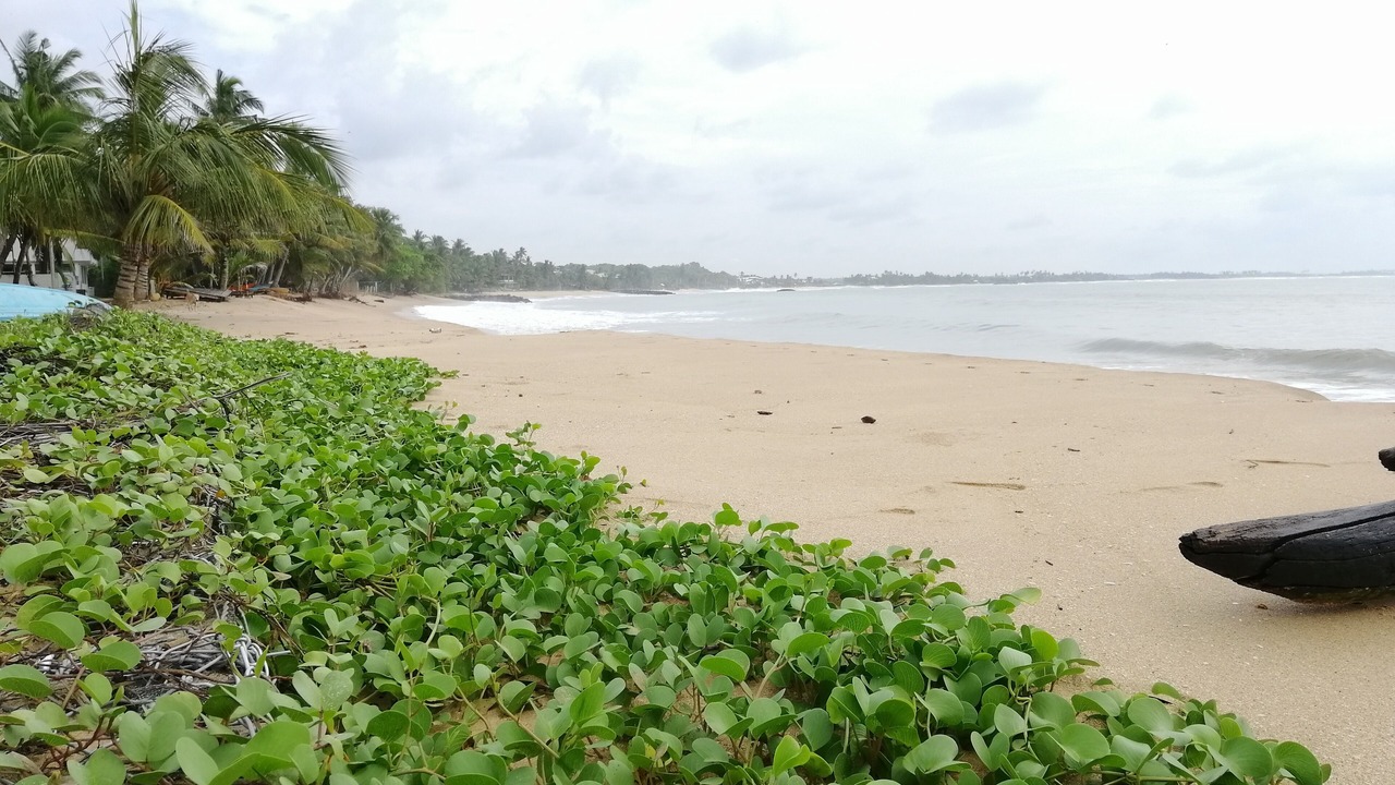 Photo of Others in Tangalle