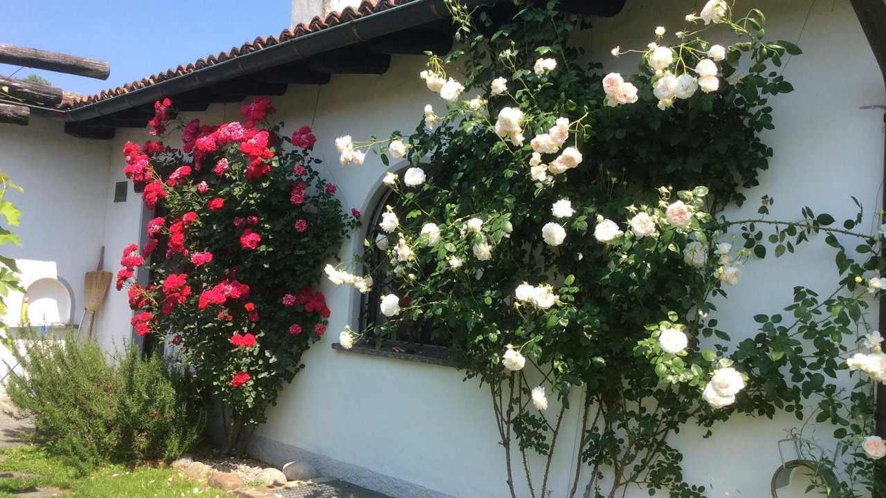 Photo of Outdoor in Magliaso