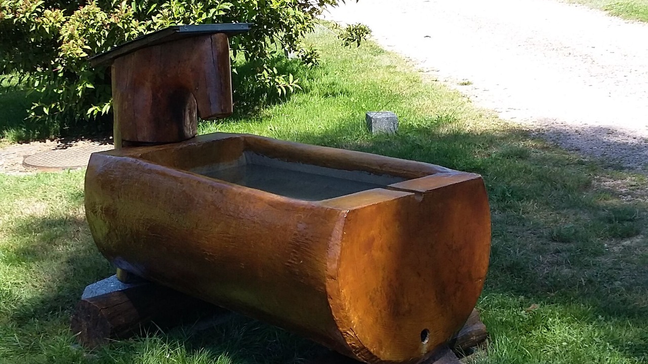 Photo of Outdoor in Xonrupt-Longemer