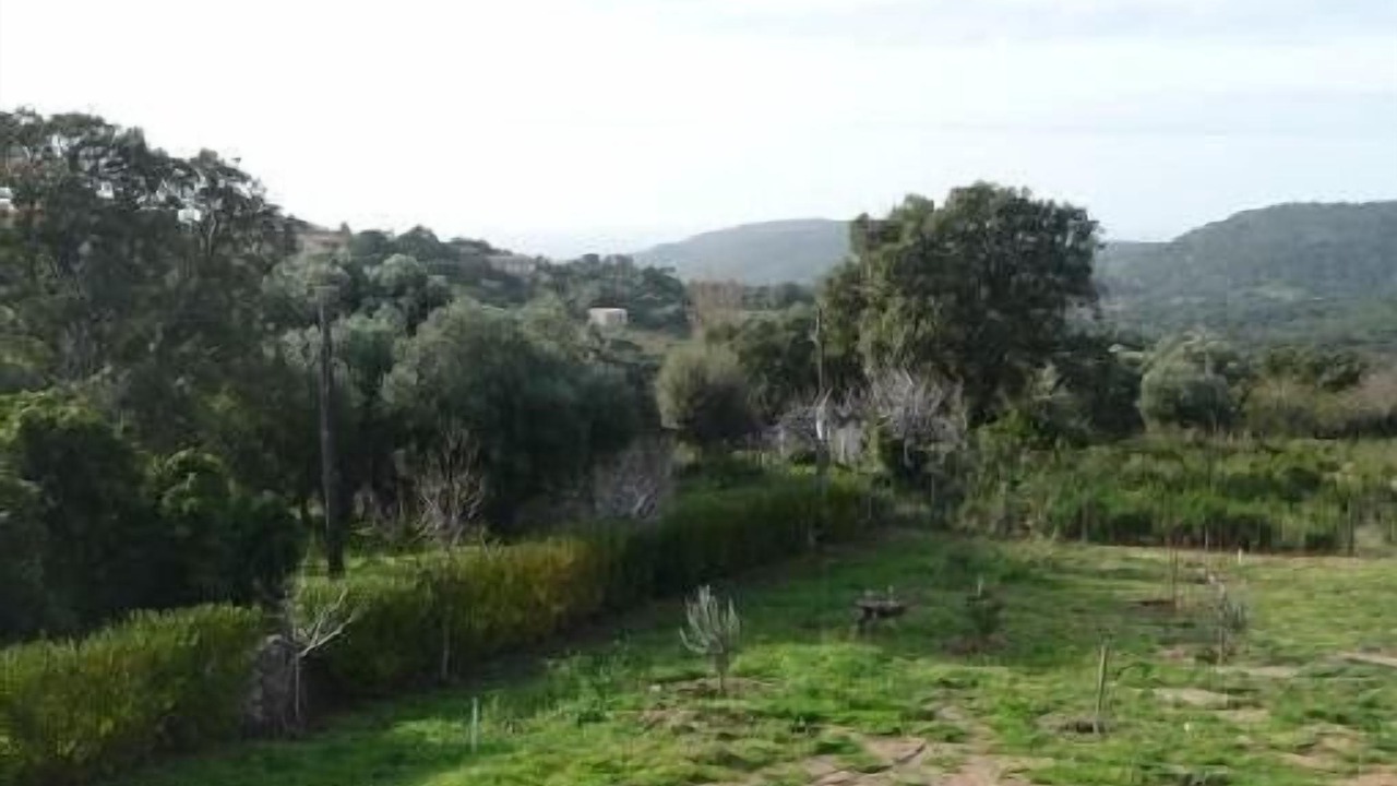 Photo of Outdoor in Monacia-d'Aullene
