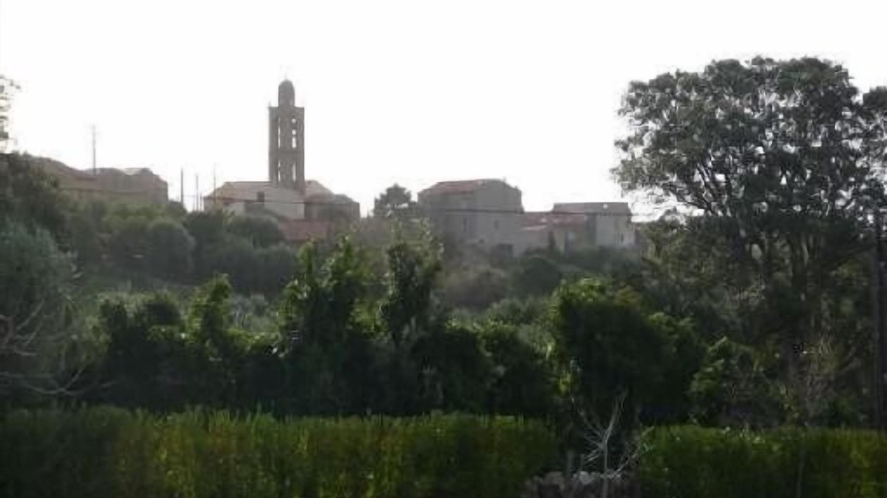 Photo of Others in Monacia-d'Aullene