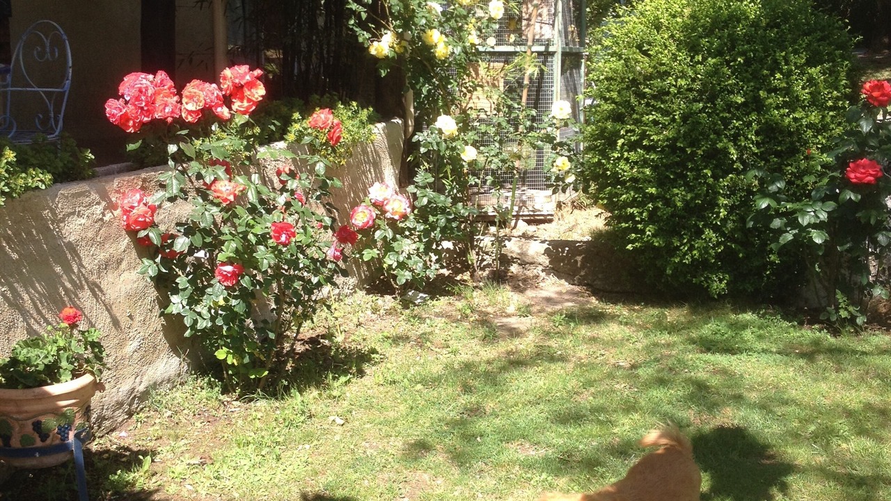 Photo of Outdoor in Plan-d'Orgon
