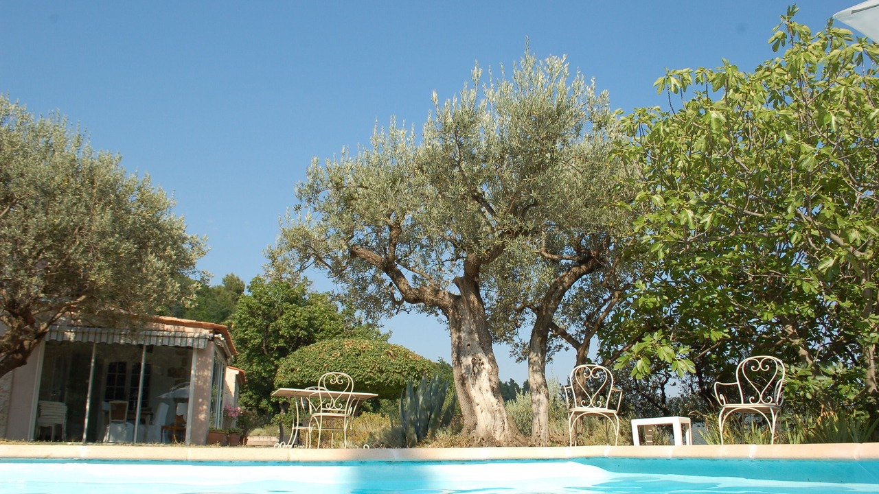 Photo of Outdoor in Bargemon