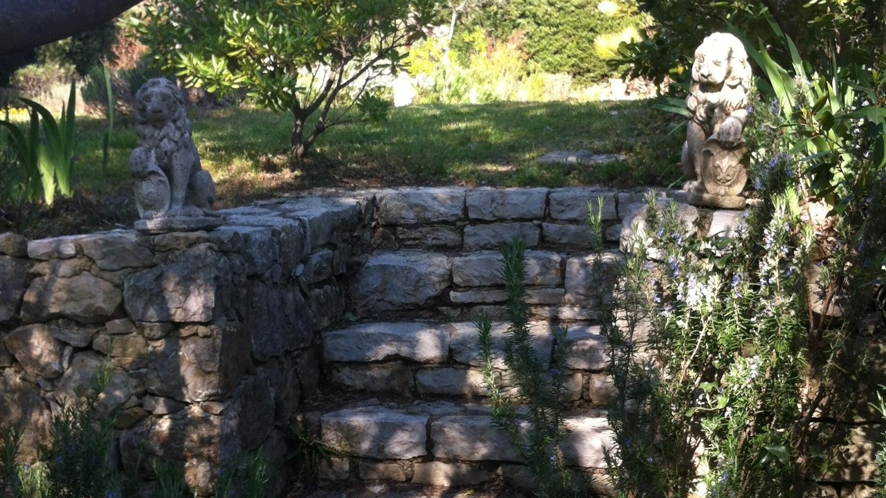 Photo of Outdoor in Bargemon