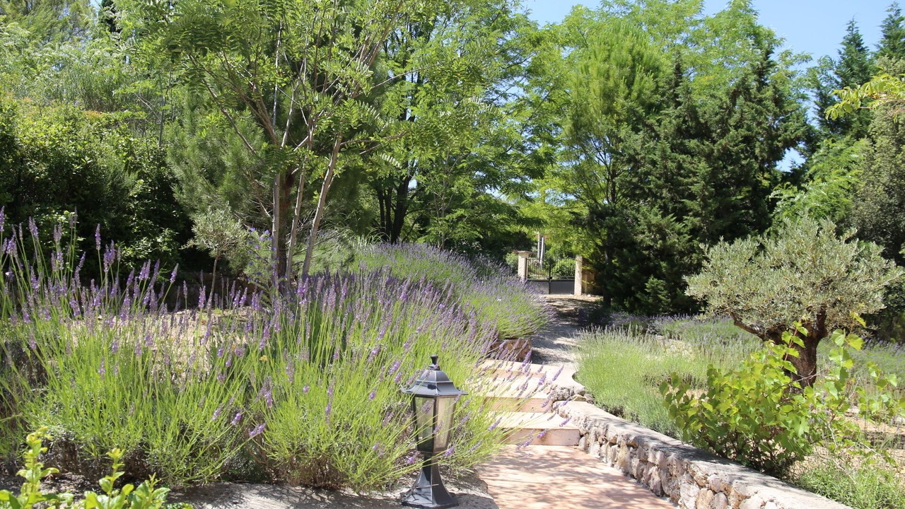 Photo of Outdoor in Lorgues