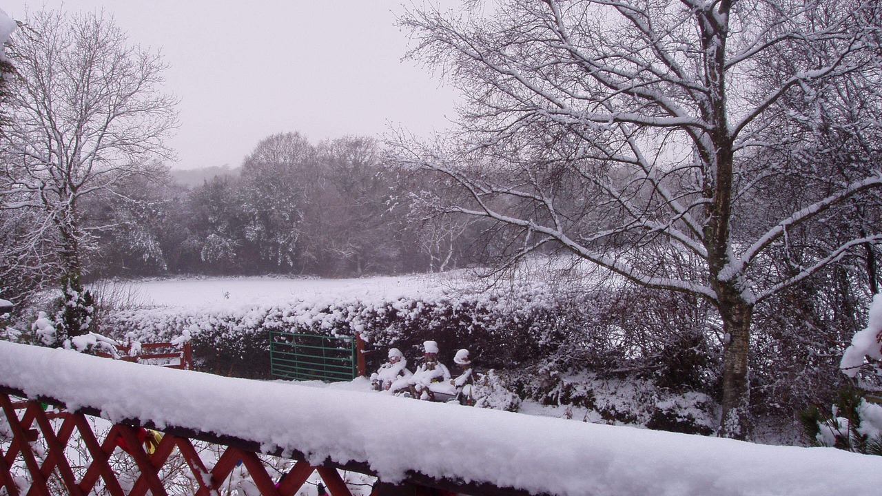 Photo of Others in Pontyclun
