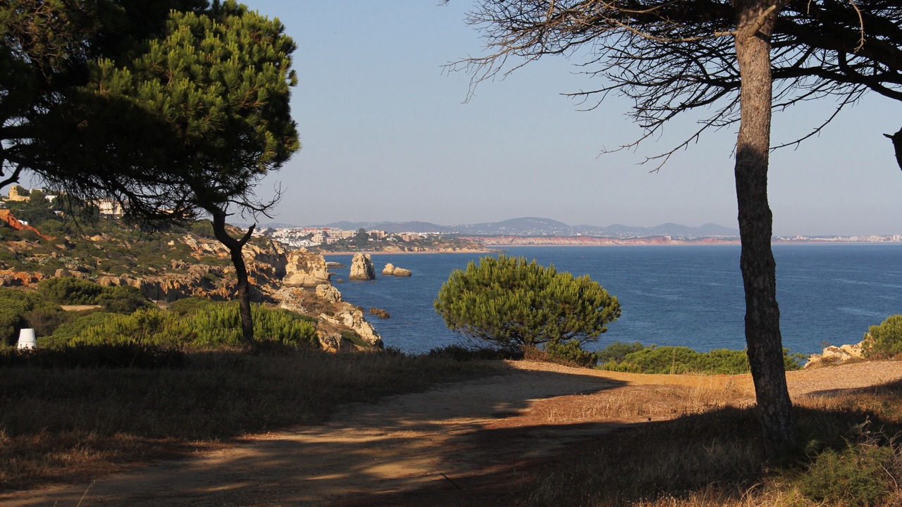 Photo of Others in Albufeira