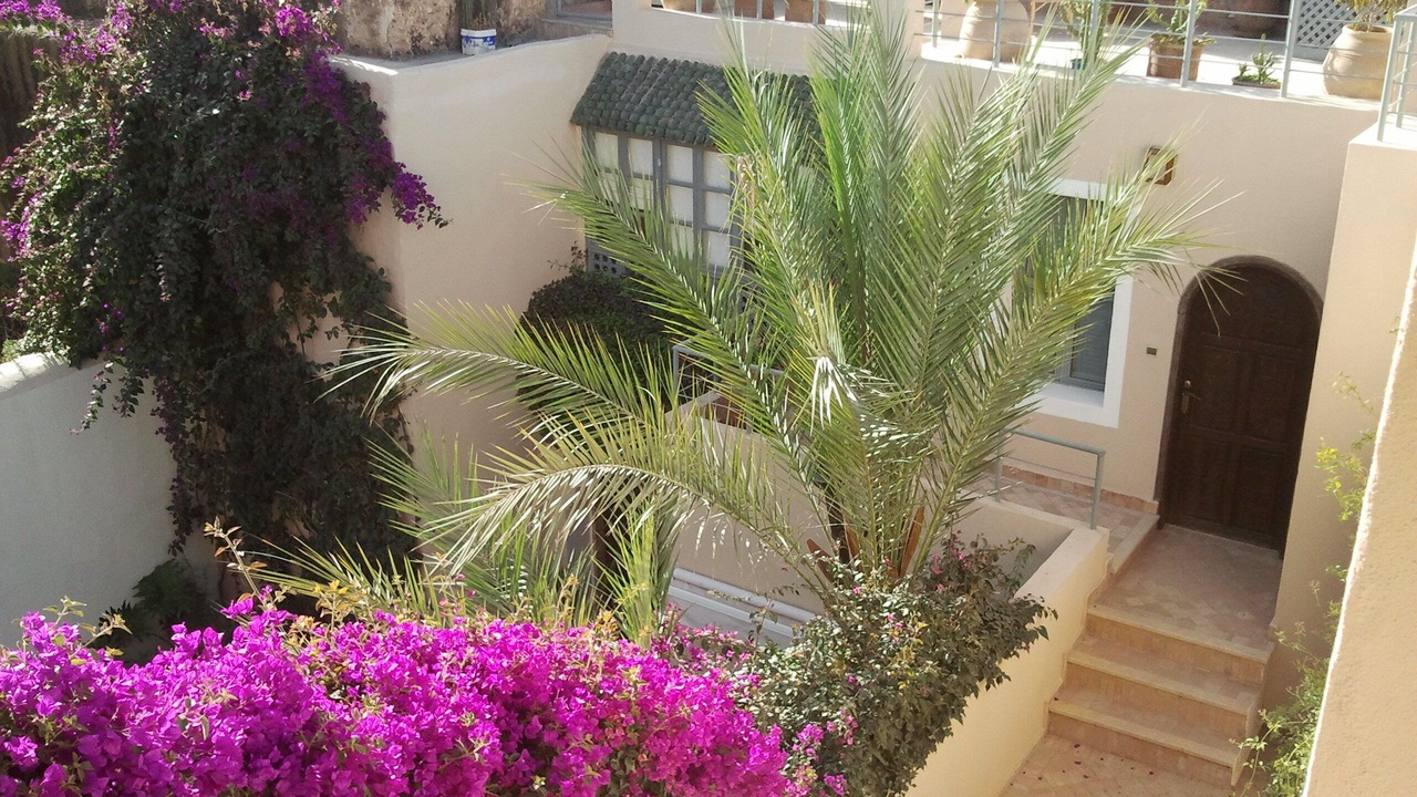 Photo of Outdoor in Taroudannt