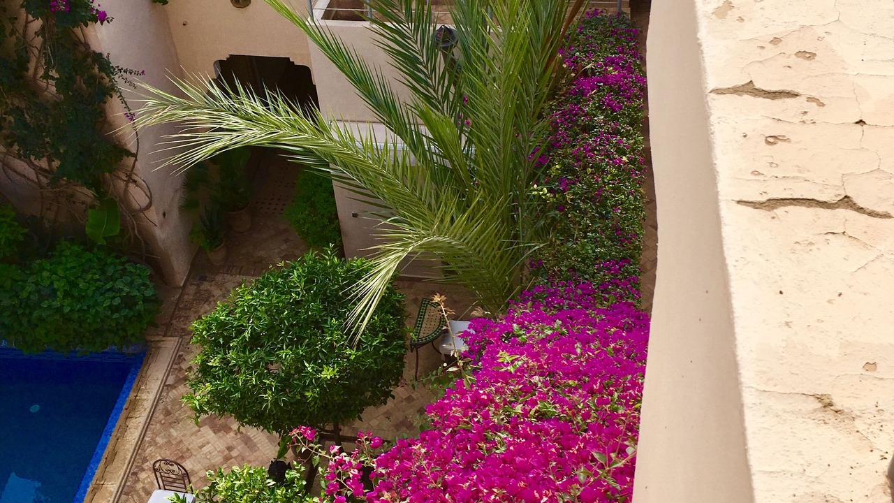 Photo of Outdoor in Taroudannt