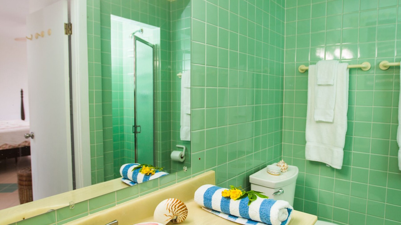 Photo of Bathroom in Grapetree