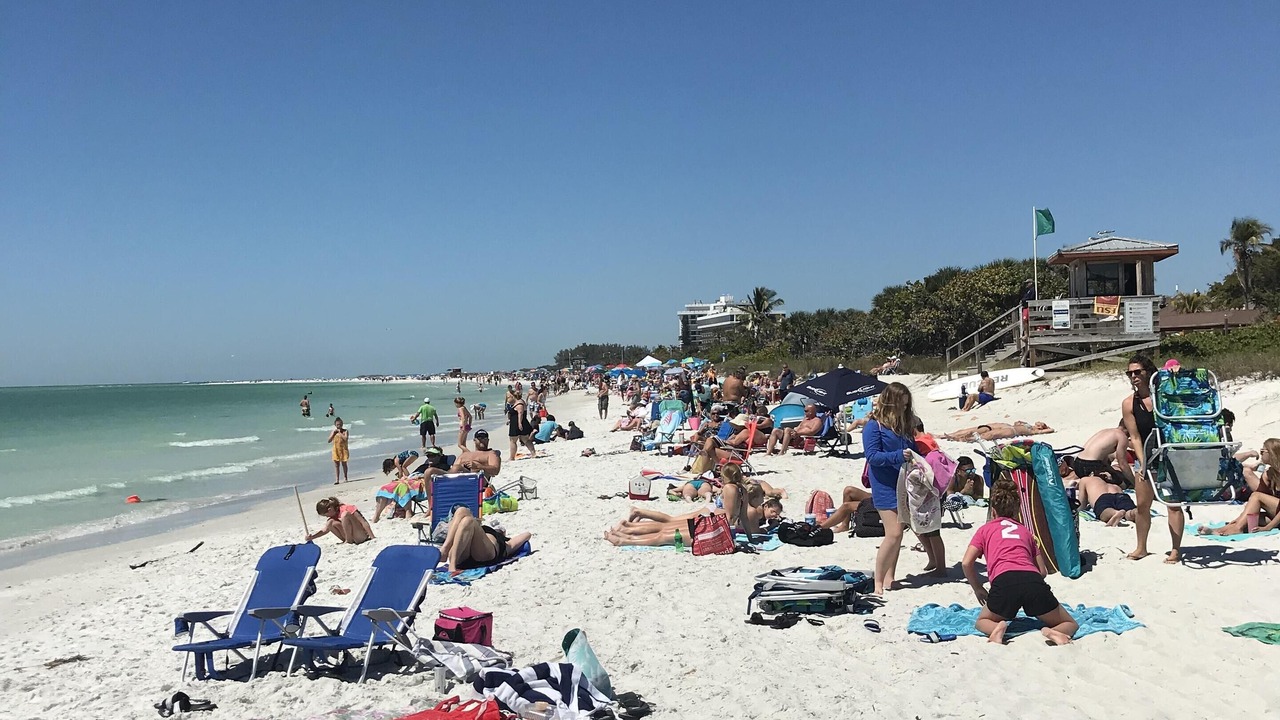 Photo of Others in Sarasota