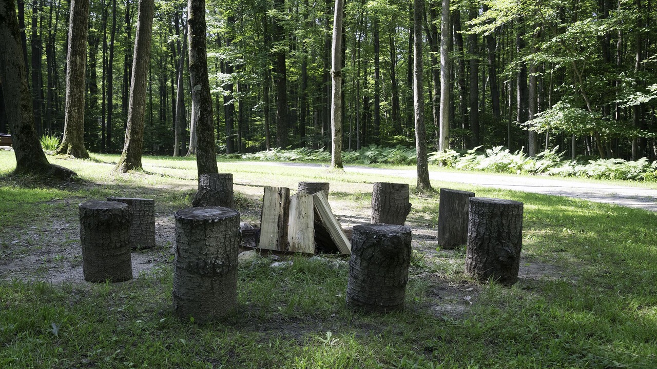 Photo of Others in Farwell