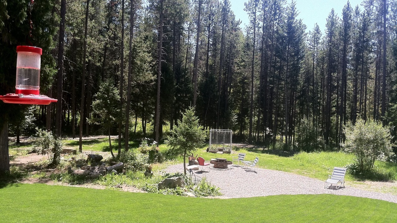 Photo of Others in West Glacier