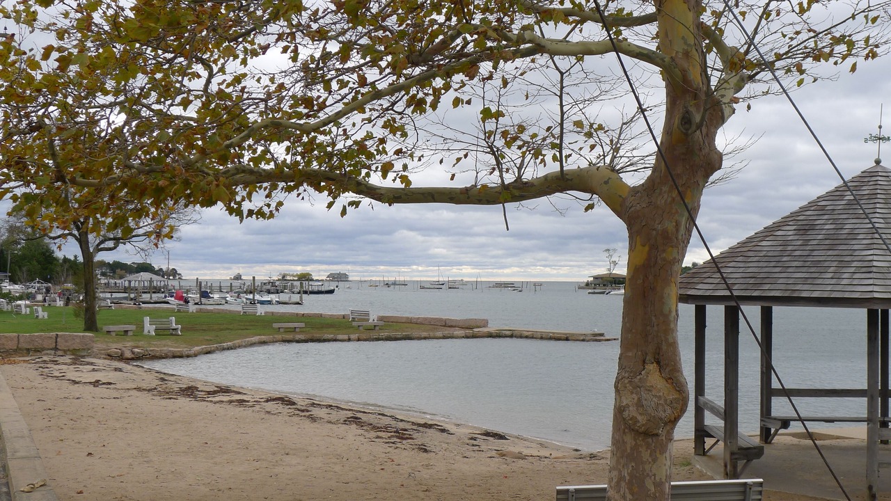 Photo of Others in Stony Creek