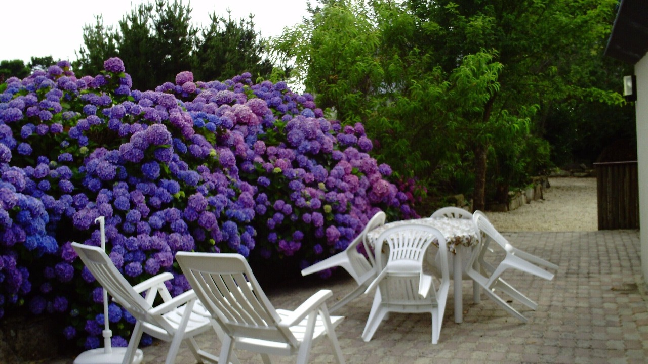 Photo of Outdoor in Pleumeur-Bodou