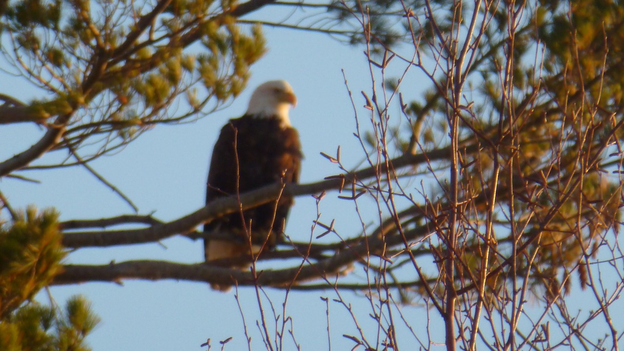 Photo of Others in Upper Peninsula Michigan