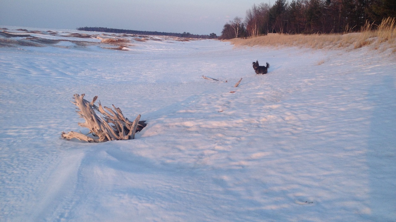 Photo of Others in Upper Peninsula Michigan