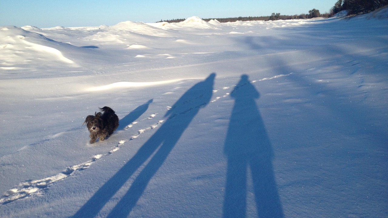 Photo of Others in Upper Peninsula Michigan