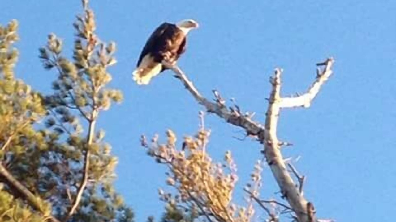 Photo of Outdoor in Upper Peninsula Michigan