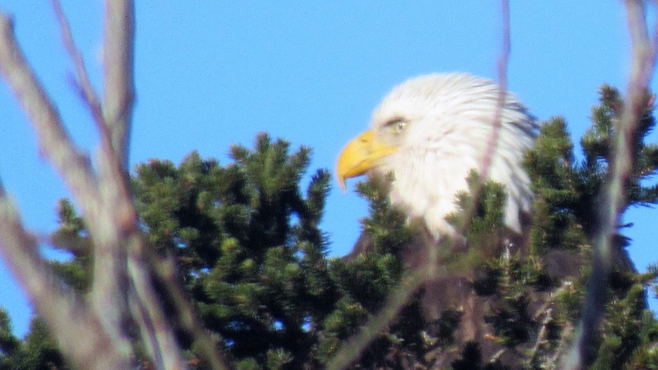 Photo of Others in Black Point