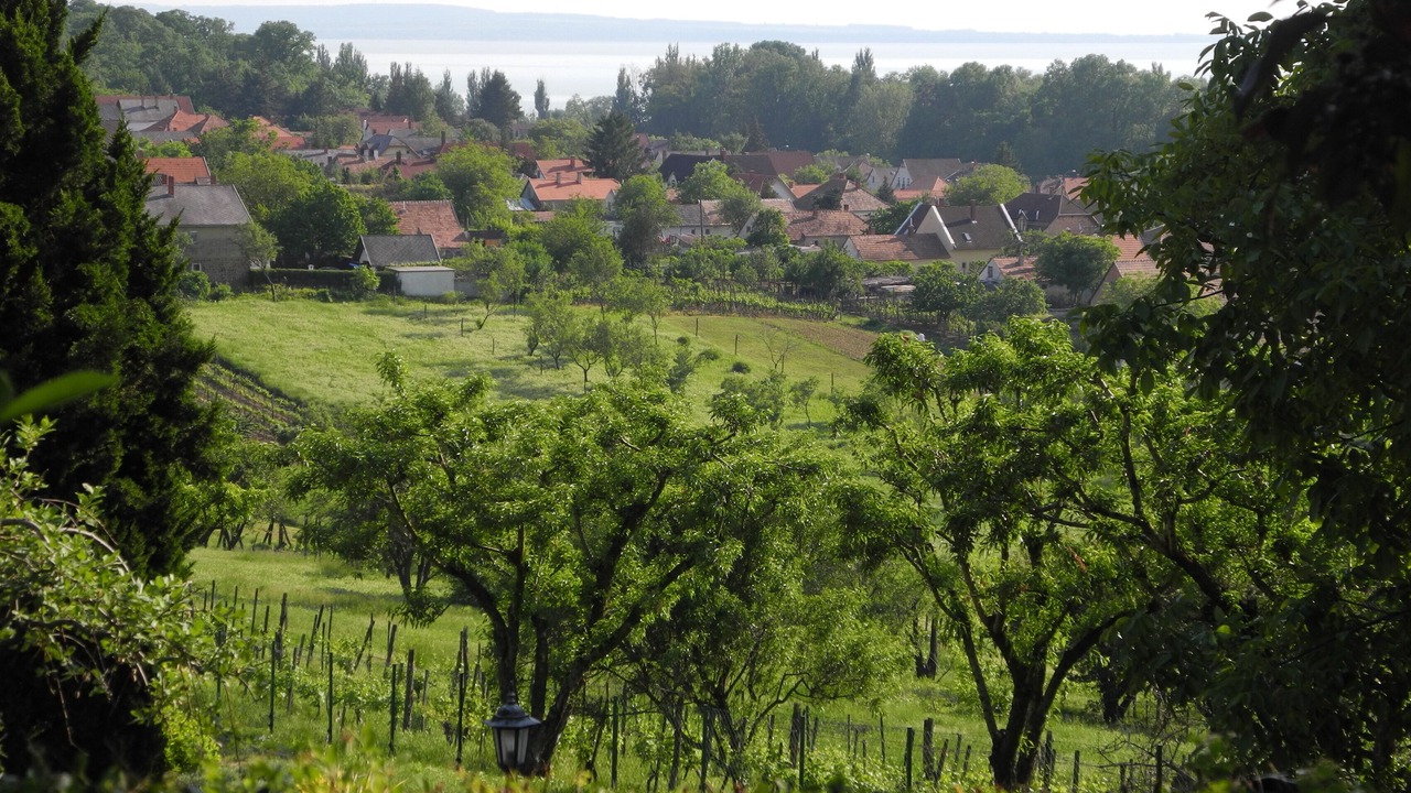 Photo of Outdoor in Szigliget