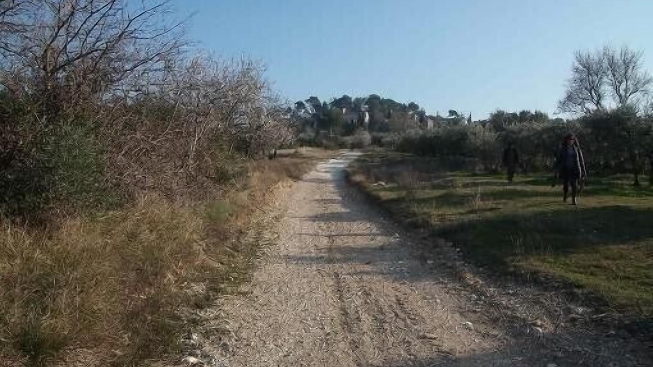 Photo of Outdoor in Eygalieres