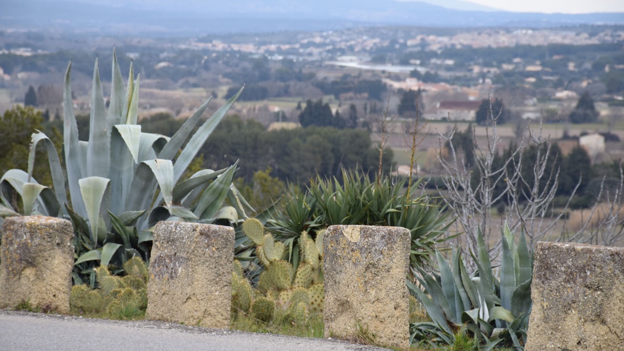 Photo of Outdoor in Cornillon-Confoux