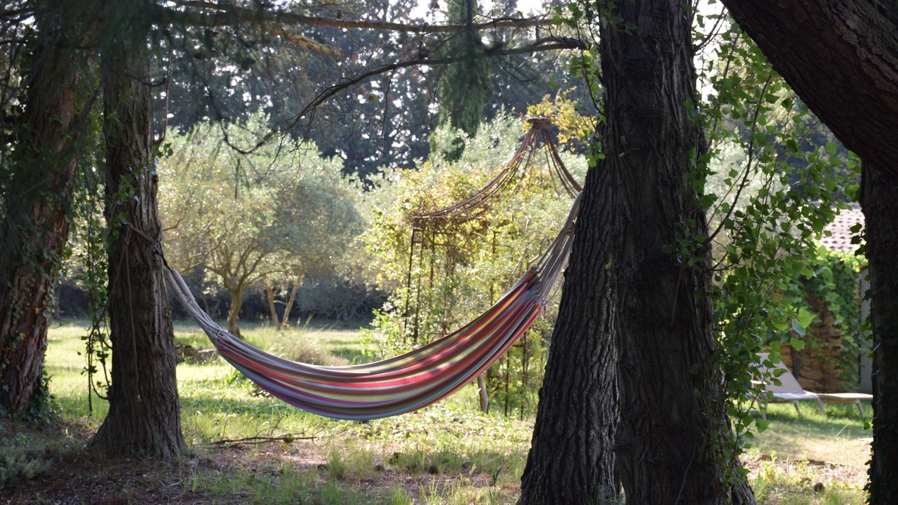 Photo of Outdoor in Cornillon-Confoux